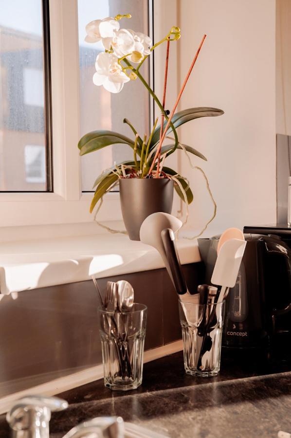 Apartmany Centrum Nový Bor Eksteriør billede